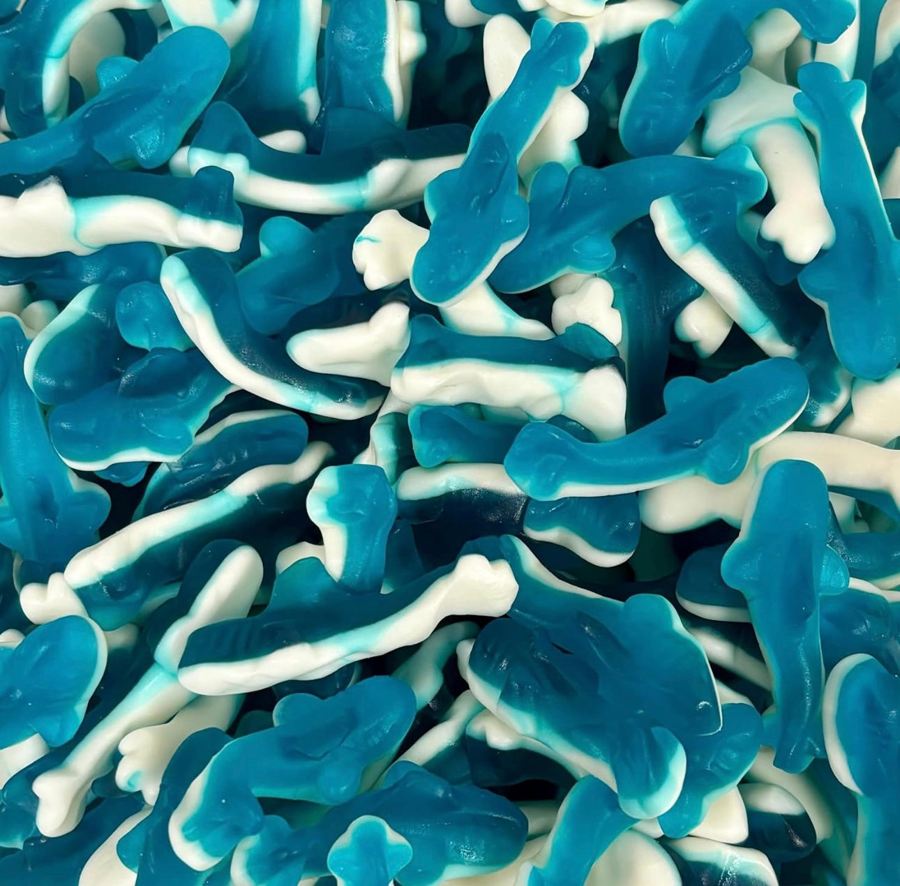 Blue Jelly Sharks