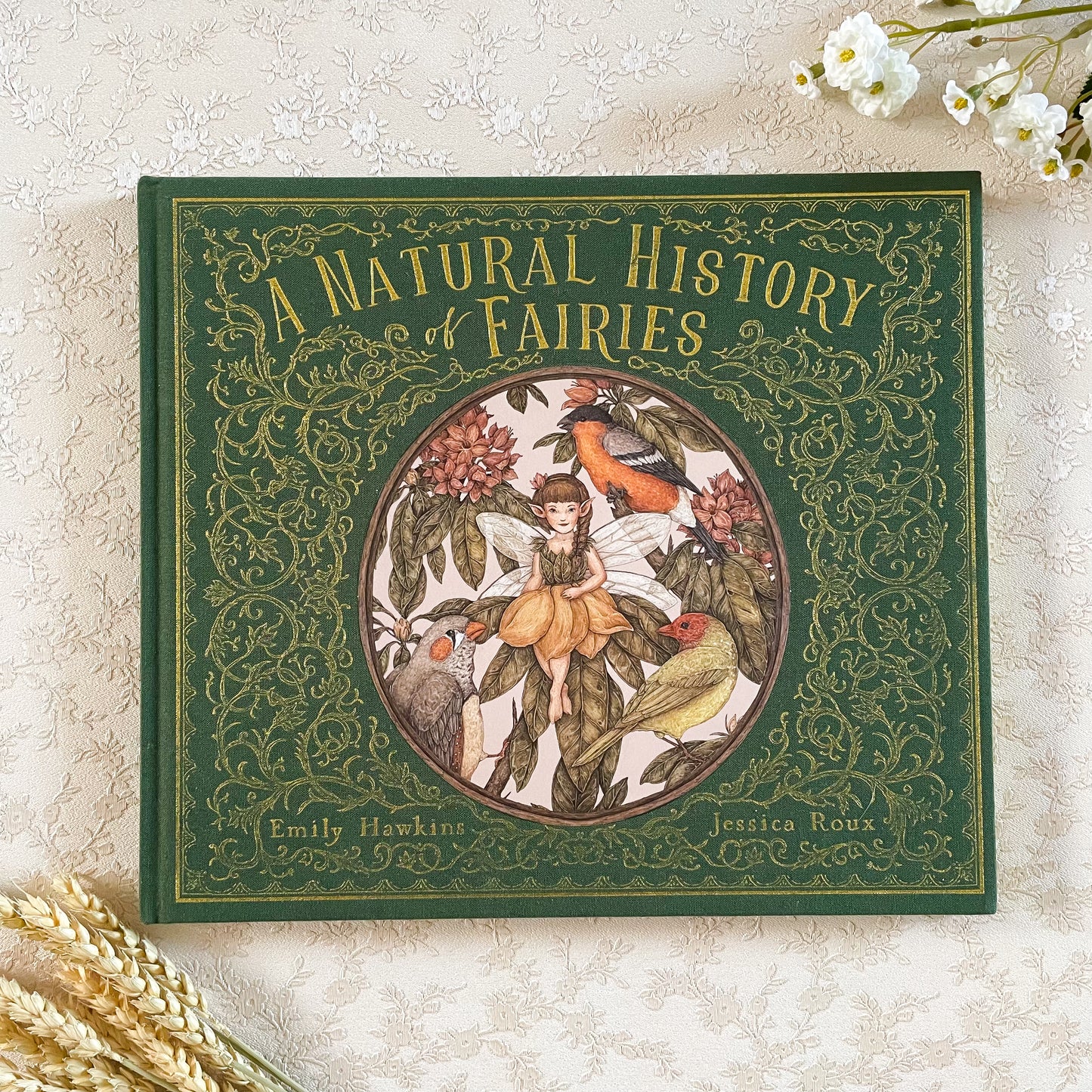A Natural History of Fairies Book