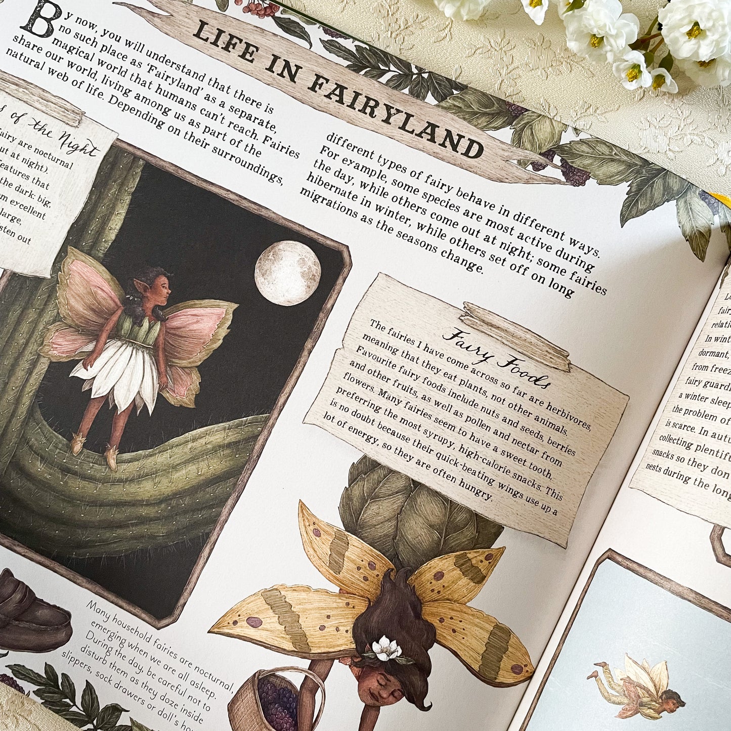 A Natural History of Fairies Book